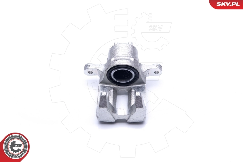 Brake Caliper 42SKV244