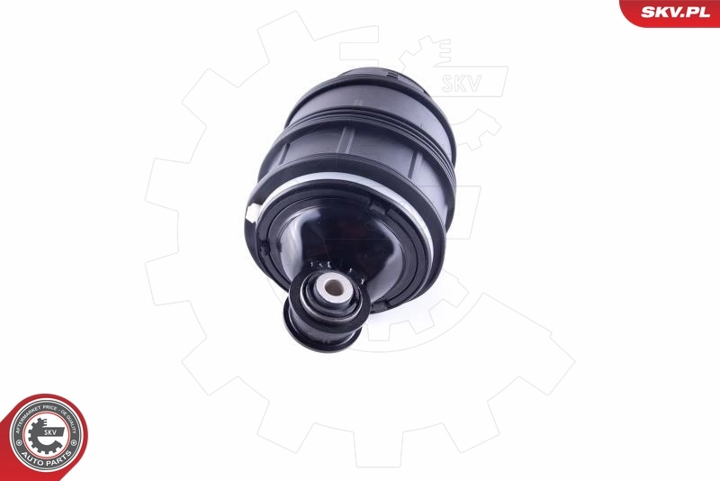 Air Spring, suspension 58SKV019