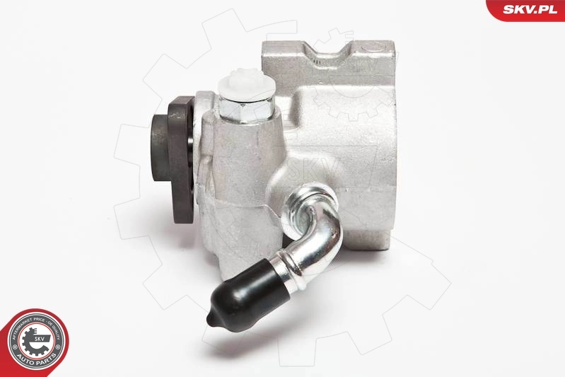 Hydraulic Pump, steering 10SKV041