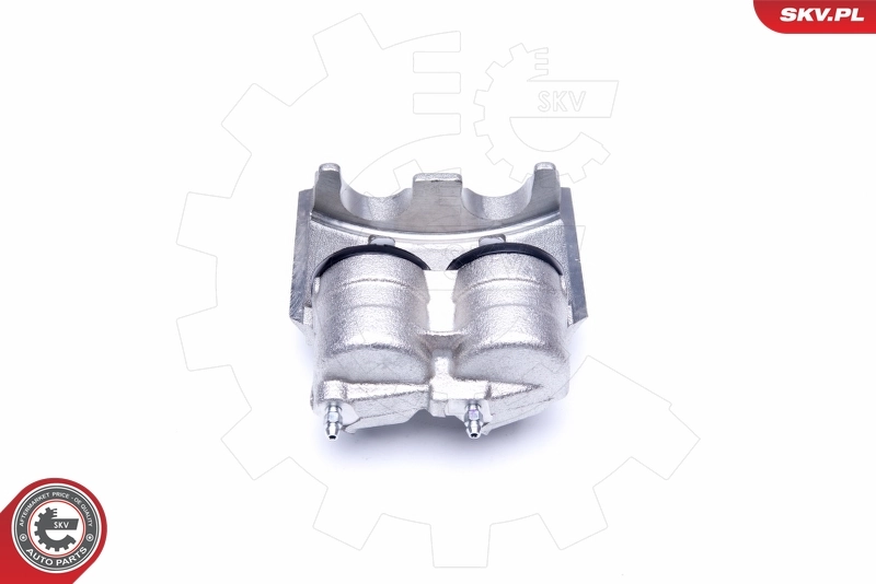 Brake Caliper 42SKV121