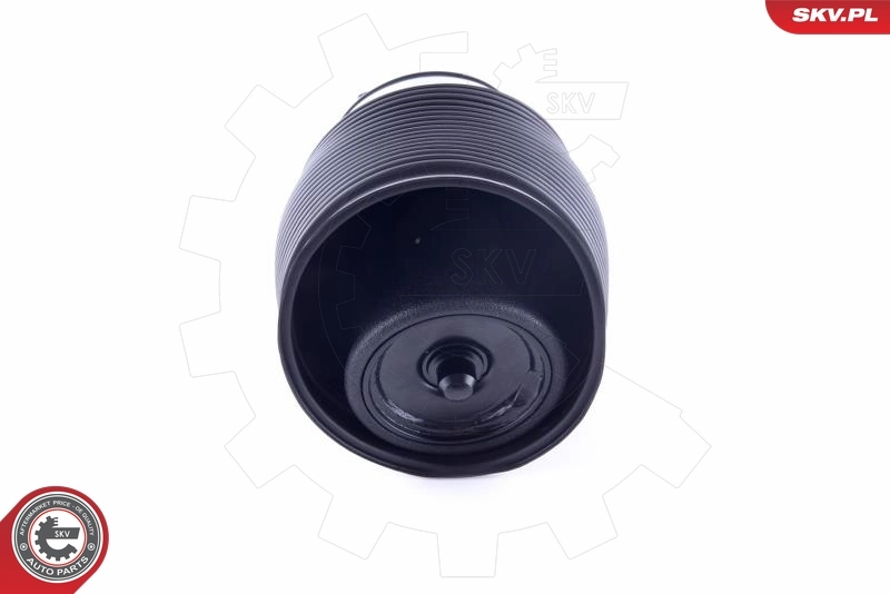 Air Spring, suspension 58SKV006