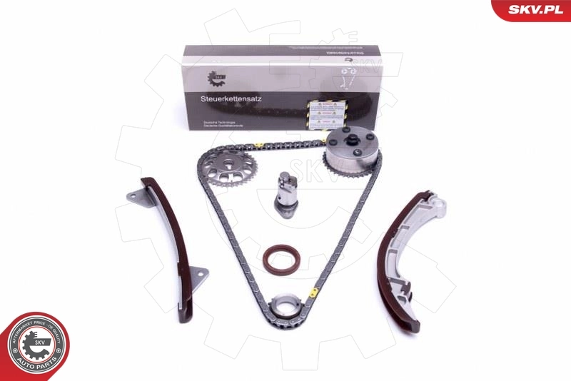 Timing Chain Kit 21SKV215