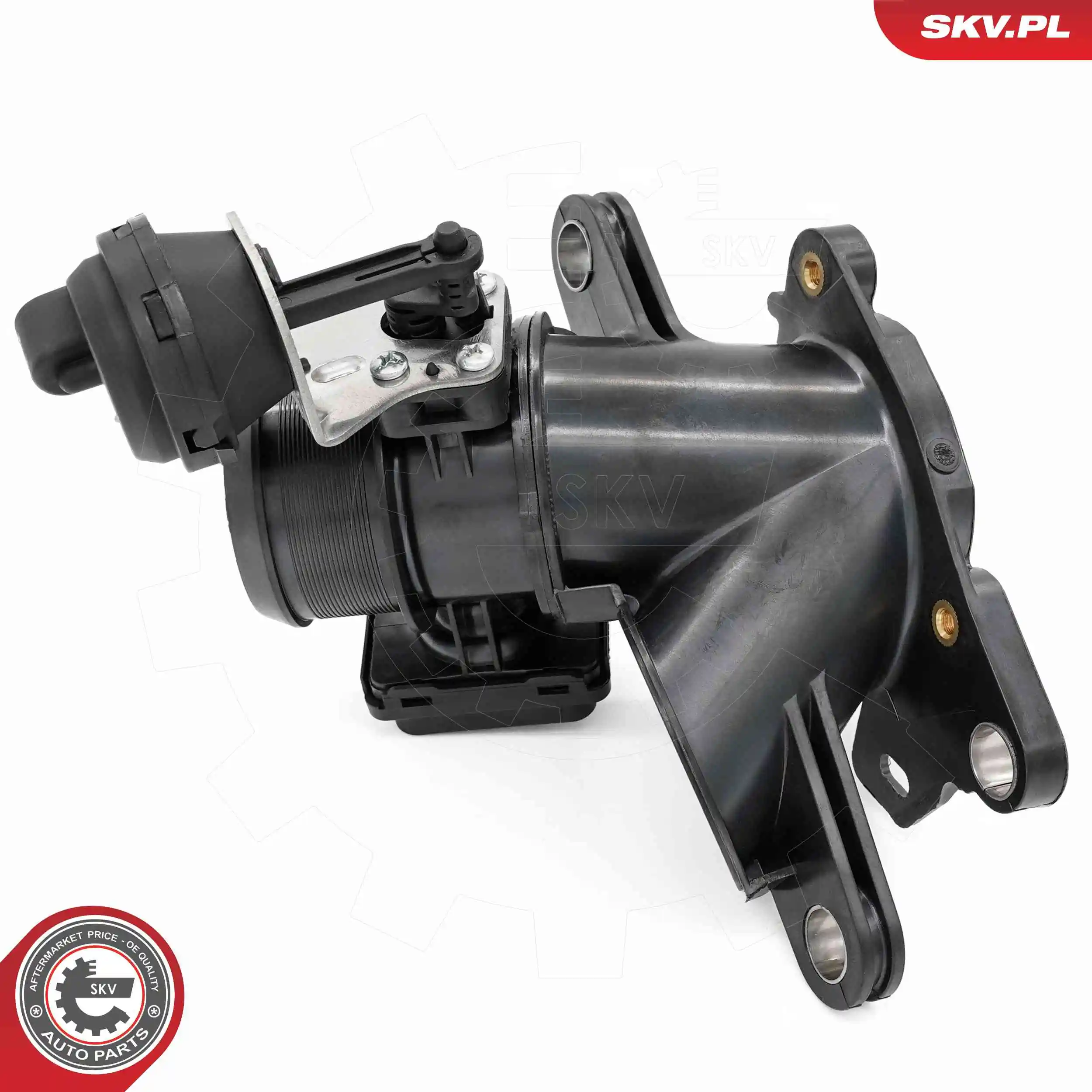 ESEN SKV 12SKV149 Throttle Body