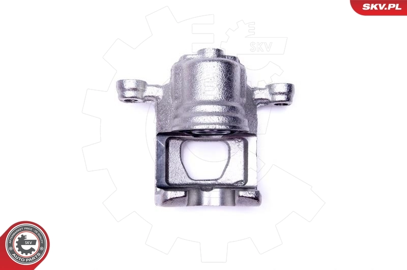 Brake Caliper 46SKV194