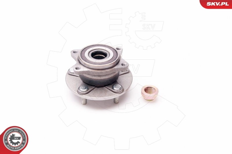ESEN SKV 29SKV037 Wheel Bearing Kit