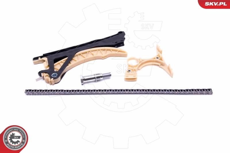 Timing Chain Kit 21SKV179
