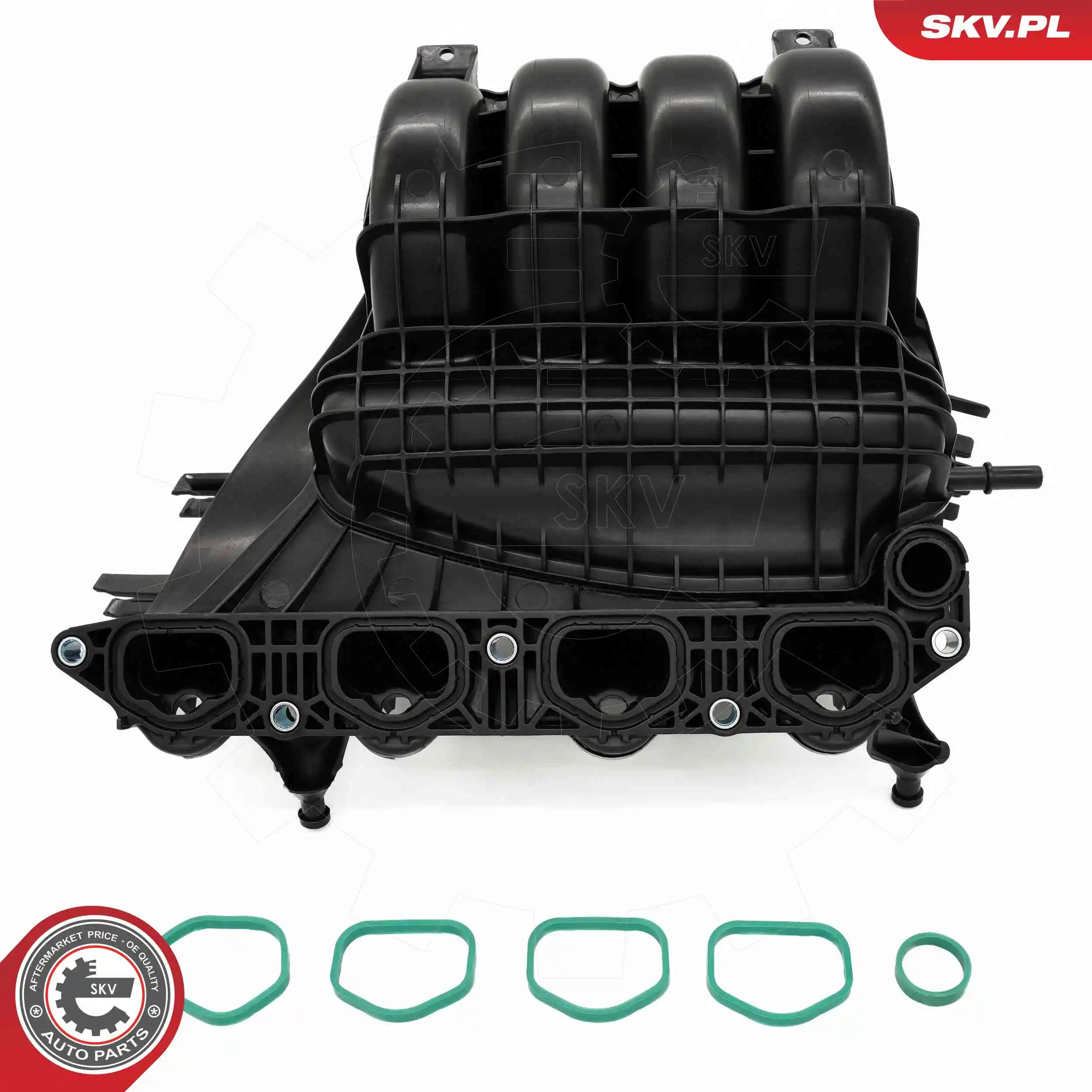 Intake Manifold Module 49SKV087