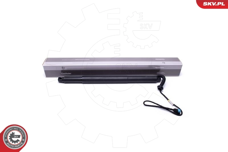 Electric Motor, tailgate 52SKV935