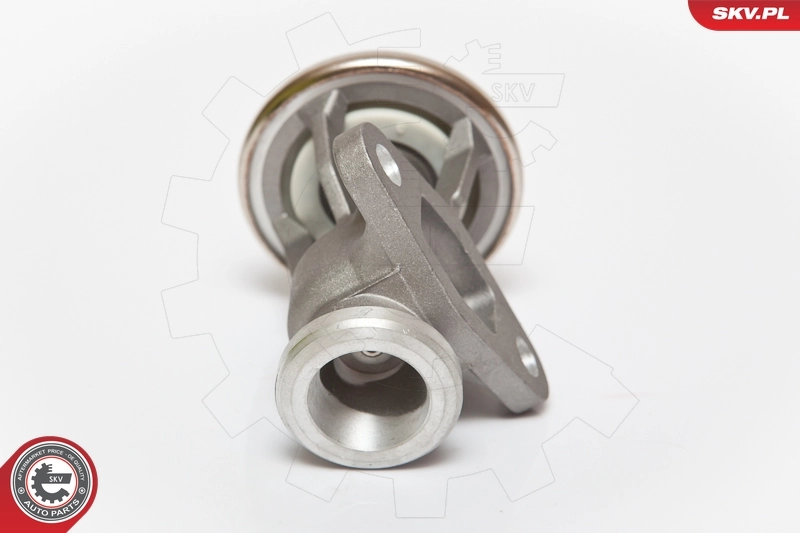 ESEN SKV 14SKV068 EGR Valve