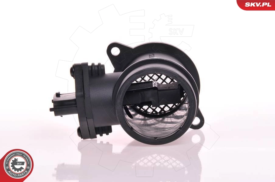 Mass Air Flow Sensor 07SKV094