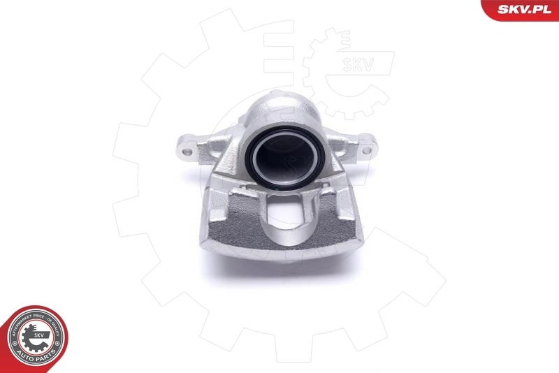 Brake Caliper 55SKV961
