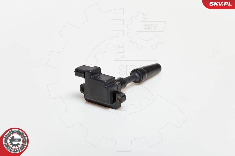 Ignition Coil 03SKV077