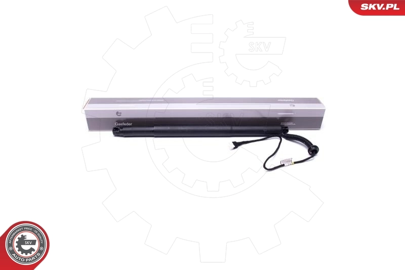 Electric Motor, tailgate 52SKV936