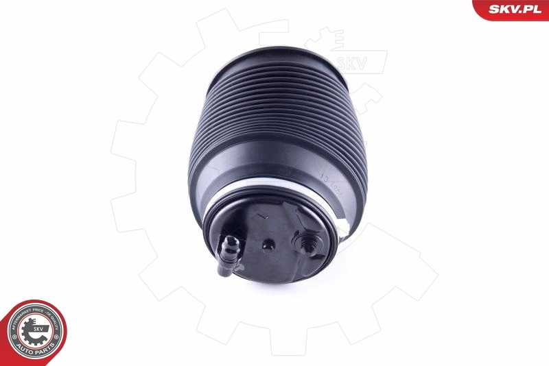 Air Spring, suspension 58SKV005