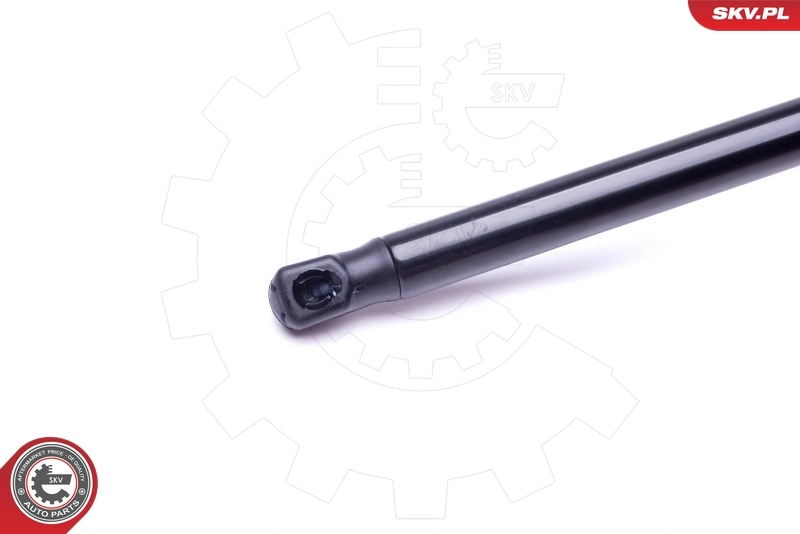 가스 스프링, 트렁크/화물 적재실 52SKV509