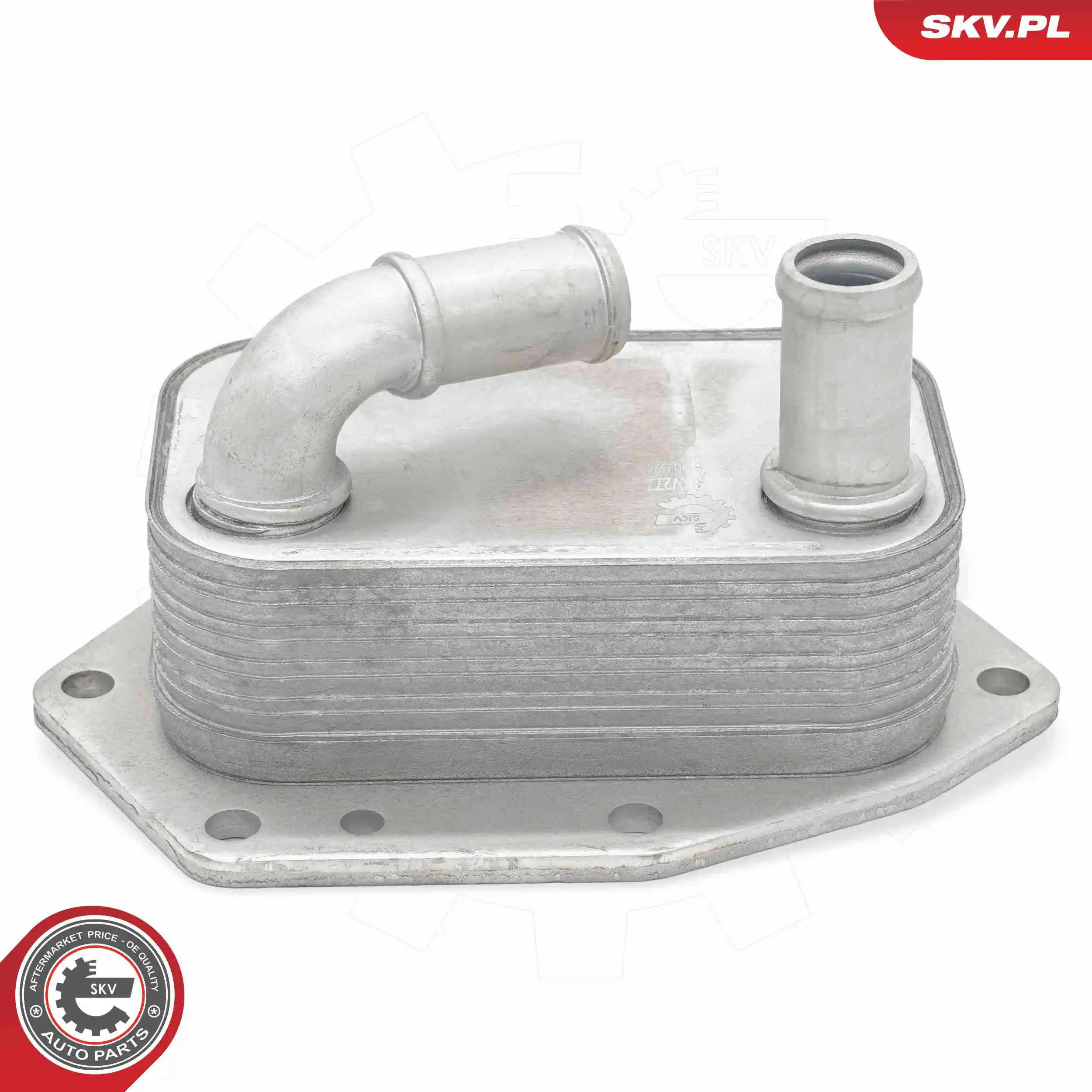 Oil Cooler, engine oil 31SKV277