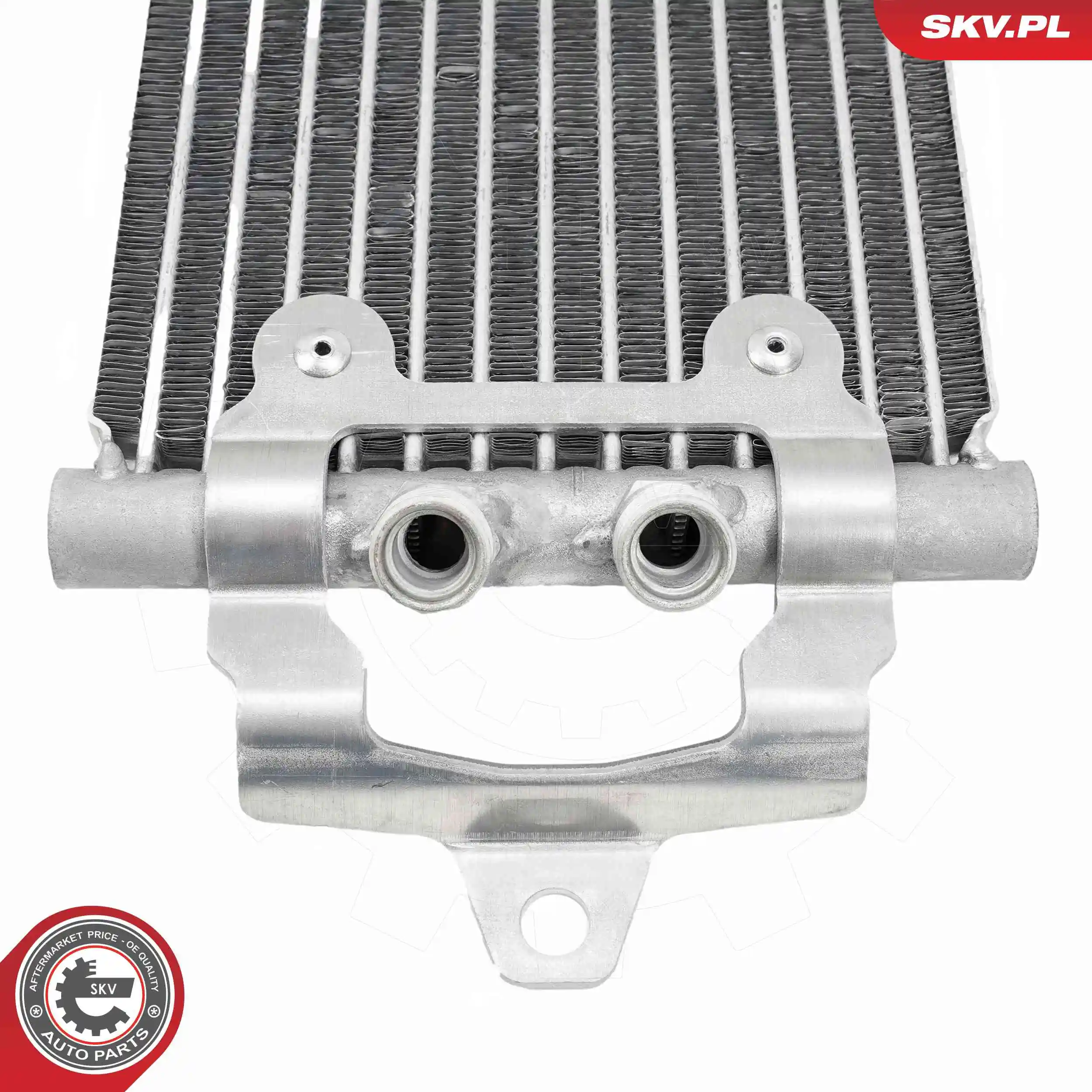 Oil Cooler, engine oil 31SKV356