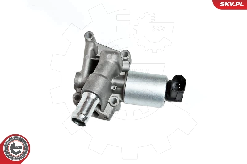 EGR Valve 14SKV030