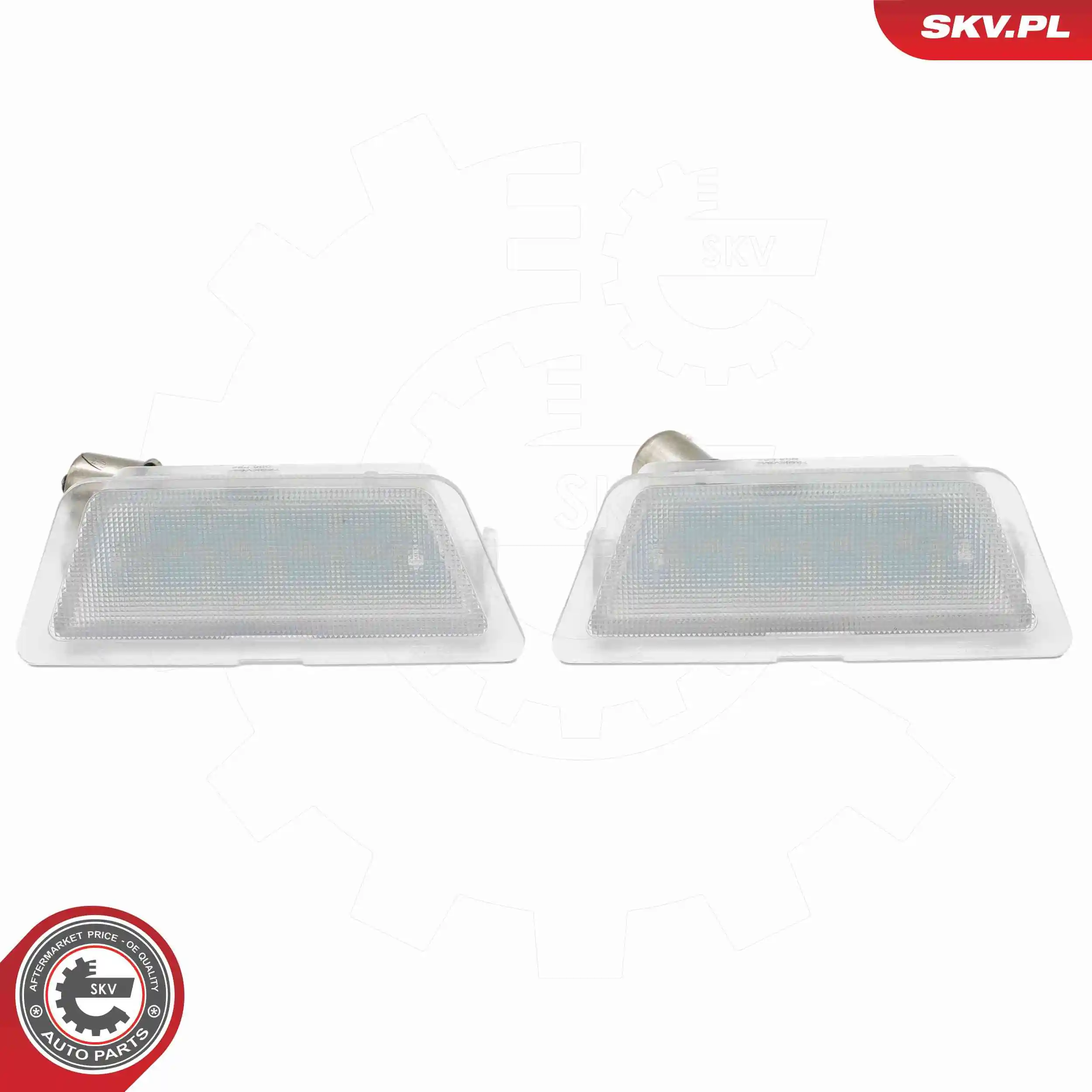 Licence Plate Light 72SKV543