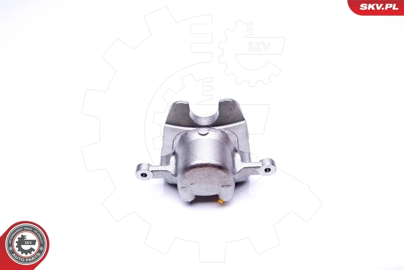 Brake Caliper 42SKV432