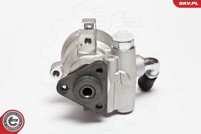 Hydraulic Pump, steering 10SKV071