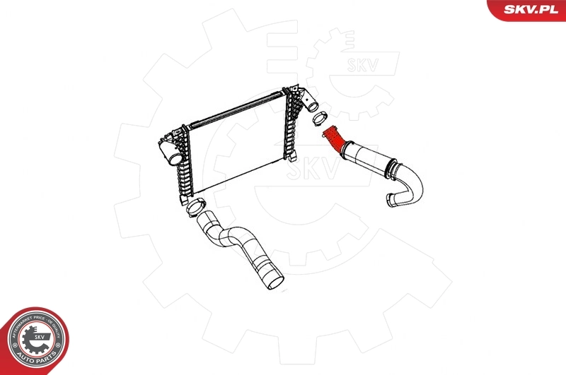 Charge Air Hose 43SKV162