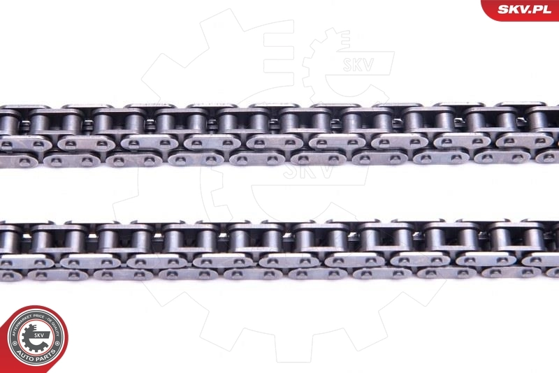 Timing Chain Kit 21SKV156