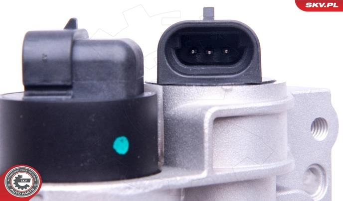 Throttle Body 12SKV081