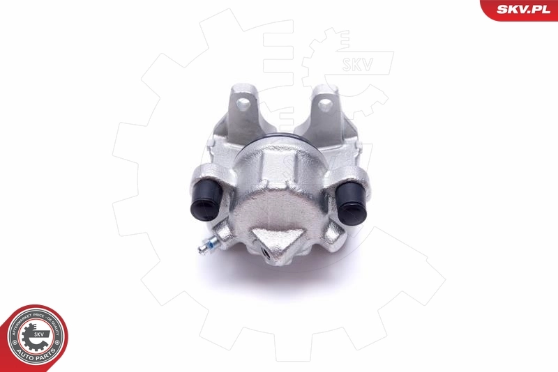 Brake Caliper 55SKV991