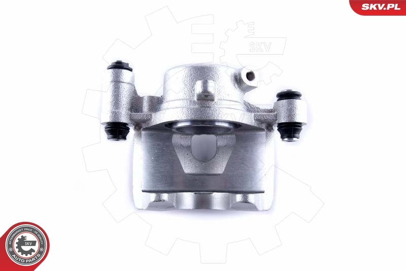 Brake Caliper 50SKV792