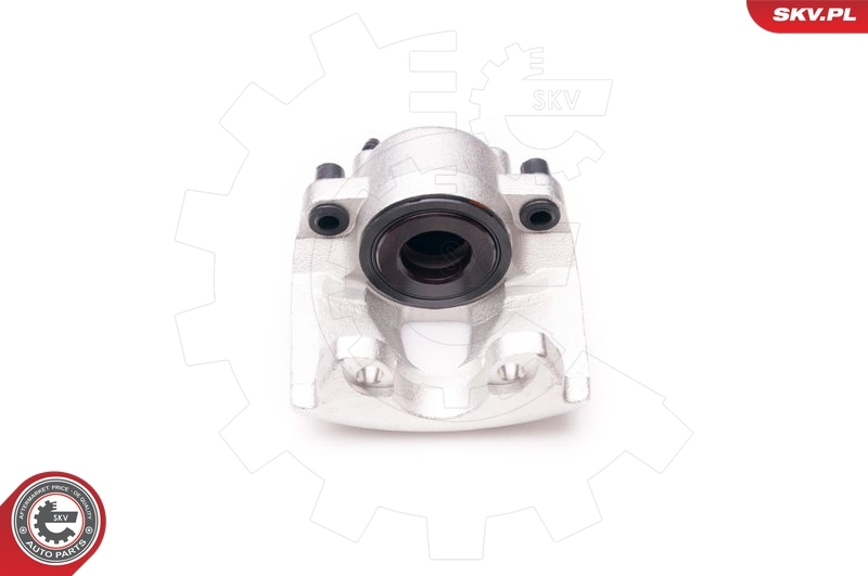 Brake Caliper 34SKV291