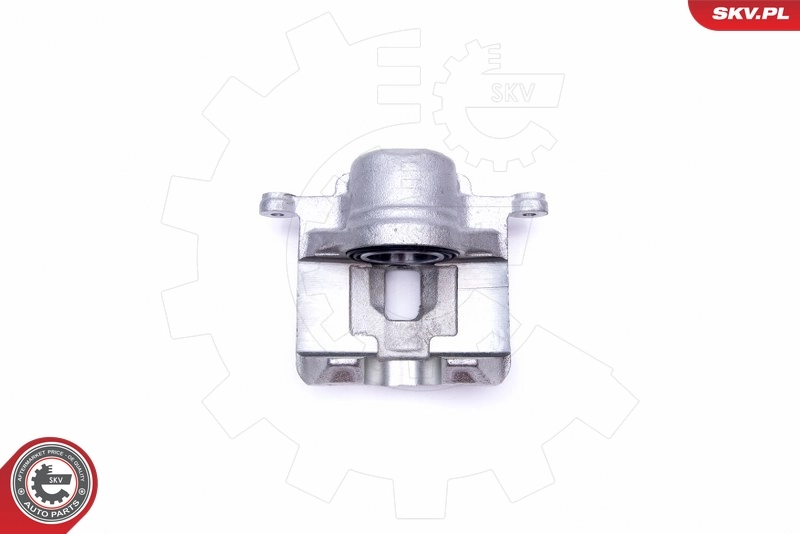 ESEN SKV 45SKV001 Brake Caliper