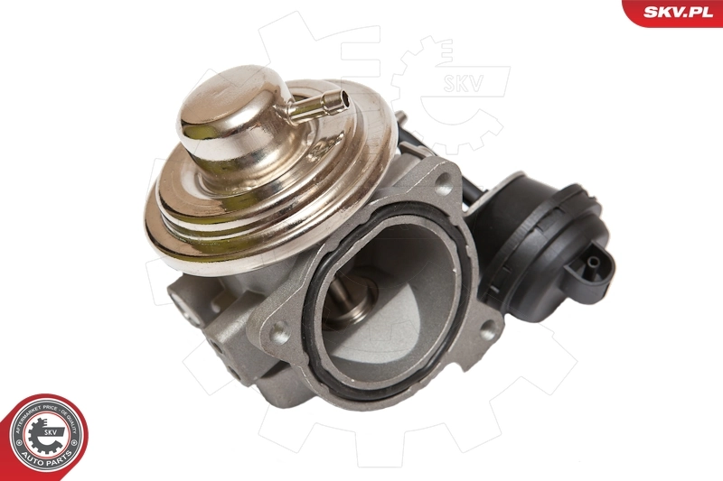 EGR Valve 14SKV082