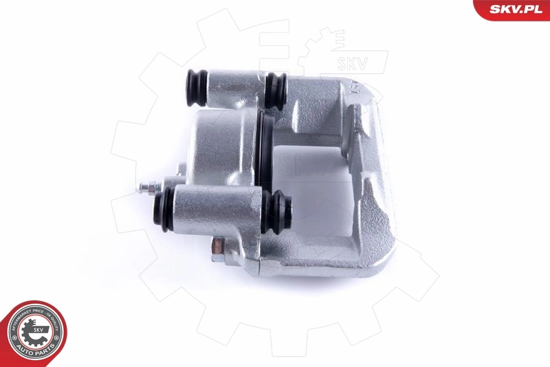 Brake Caliper 55SKV301