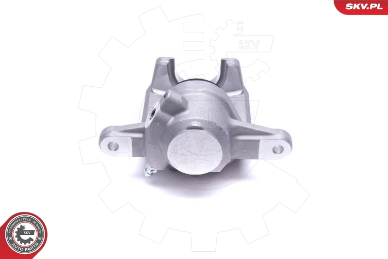 ESEN SKV 42SKV443 Brake Caliper