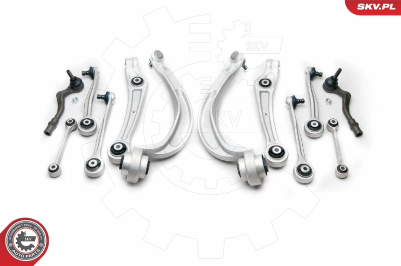 ESEN SKV 04SKV210 Repair Kit, control arm