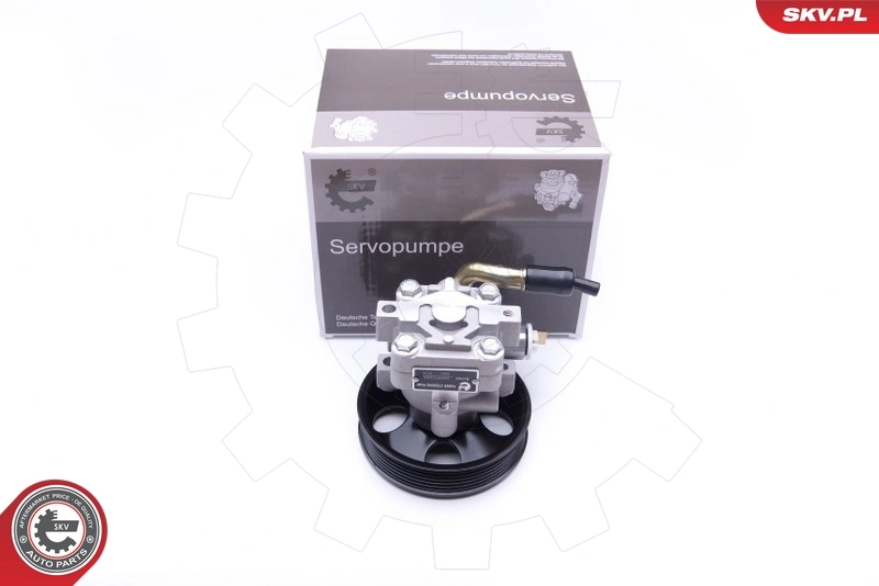 Hydraulic Pump, steering 10SKV263