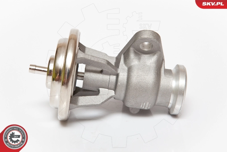 ESEN SKV 14SKV068 EGR Valve