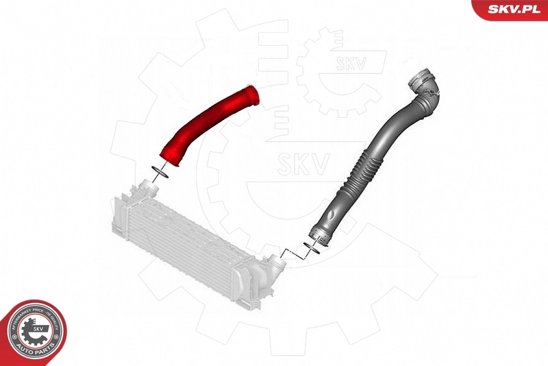 Charge Air Hose 43SKV328