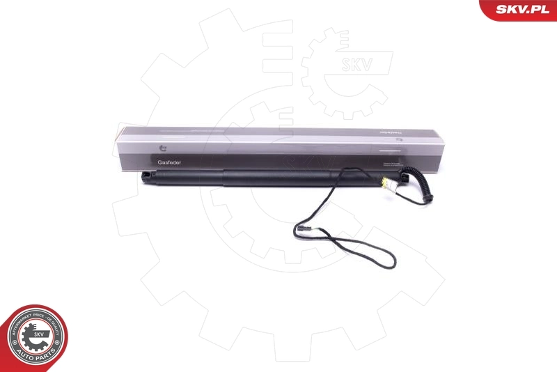 Electric Motor, tailgate 52SKV931