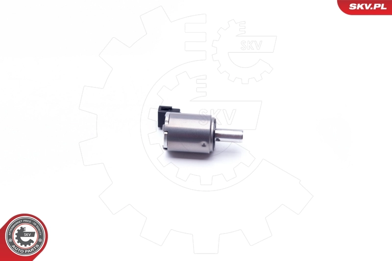 Control Valve, camshaft adjustment 39SKV027