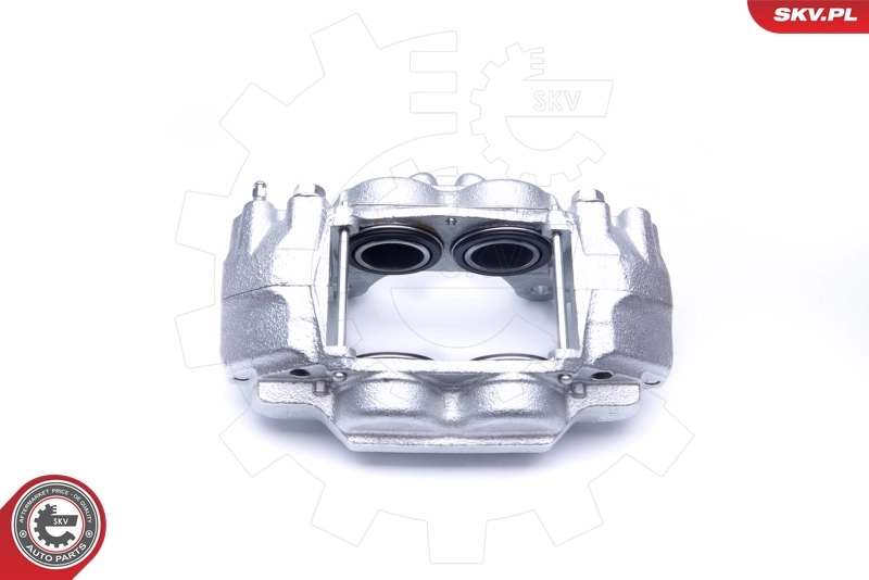Brake Caliper 45SKV201