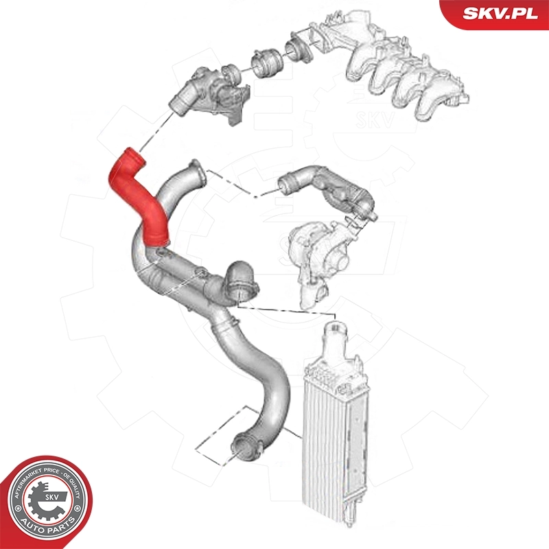 Charge Air Hose 24SKV563