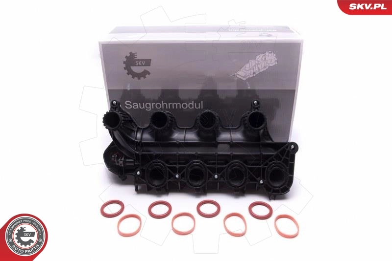 Intake Manifold Module 49SKV065