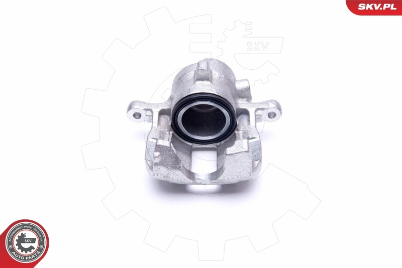 Brake Caliper 45SKV661