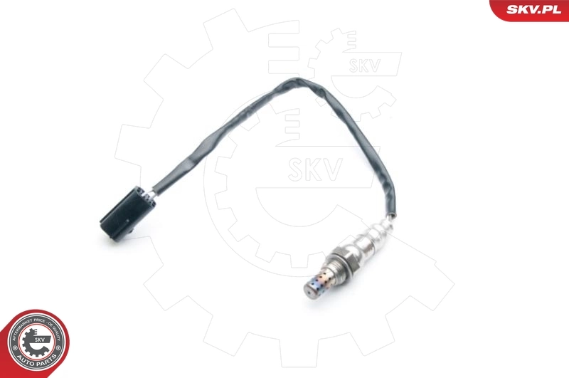 Oxygen Sensor 09SKV569