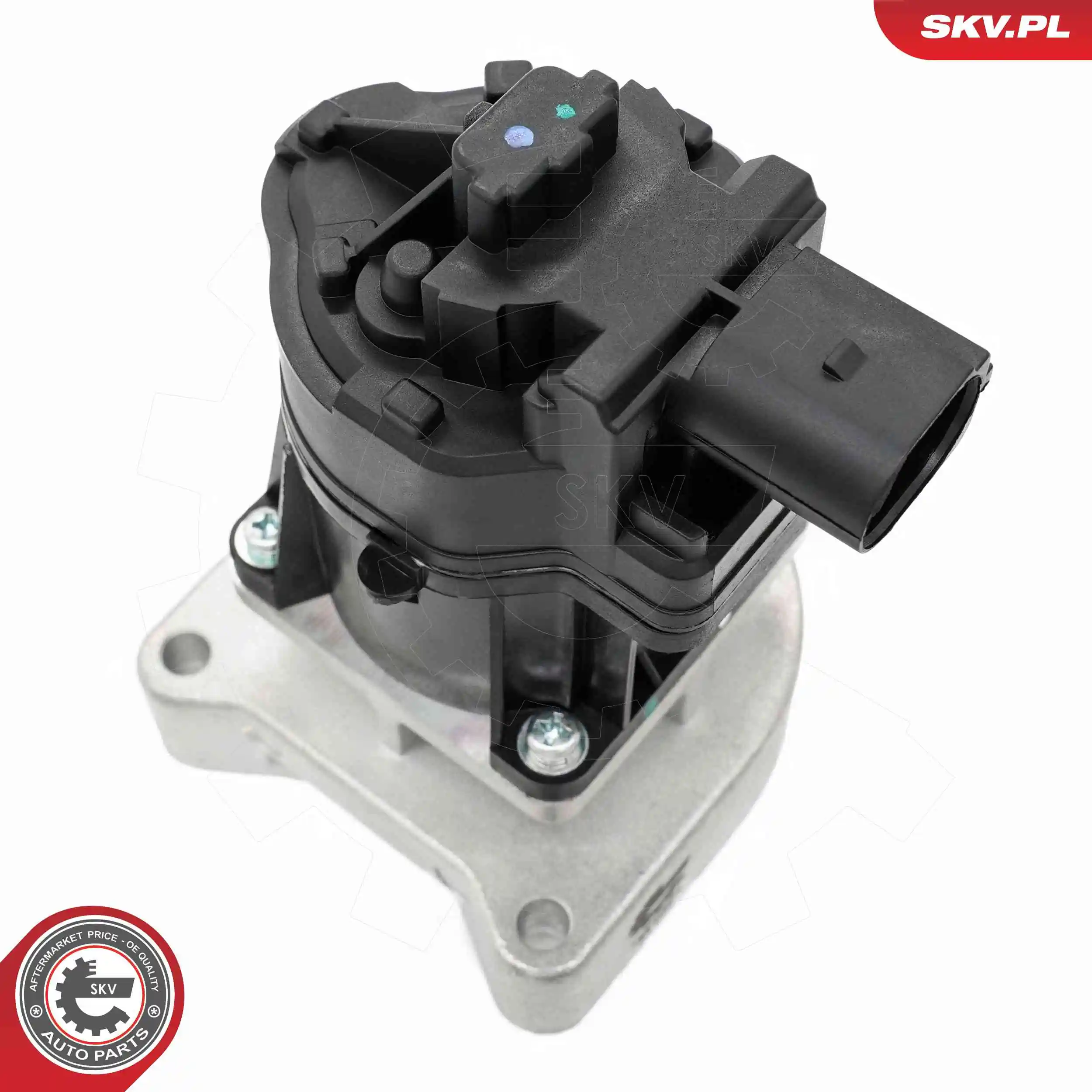 ESEN SKV 14SKV254 EGR Valve