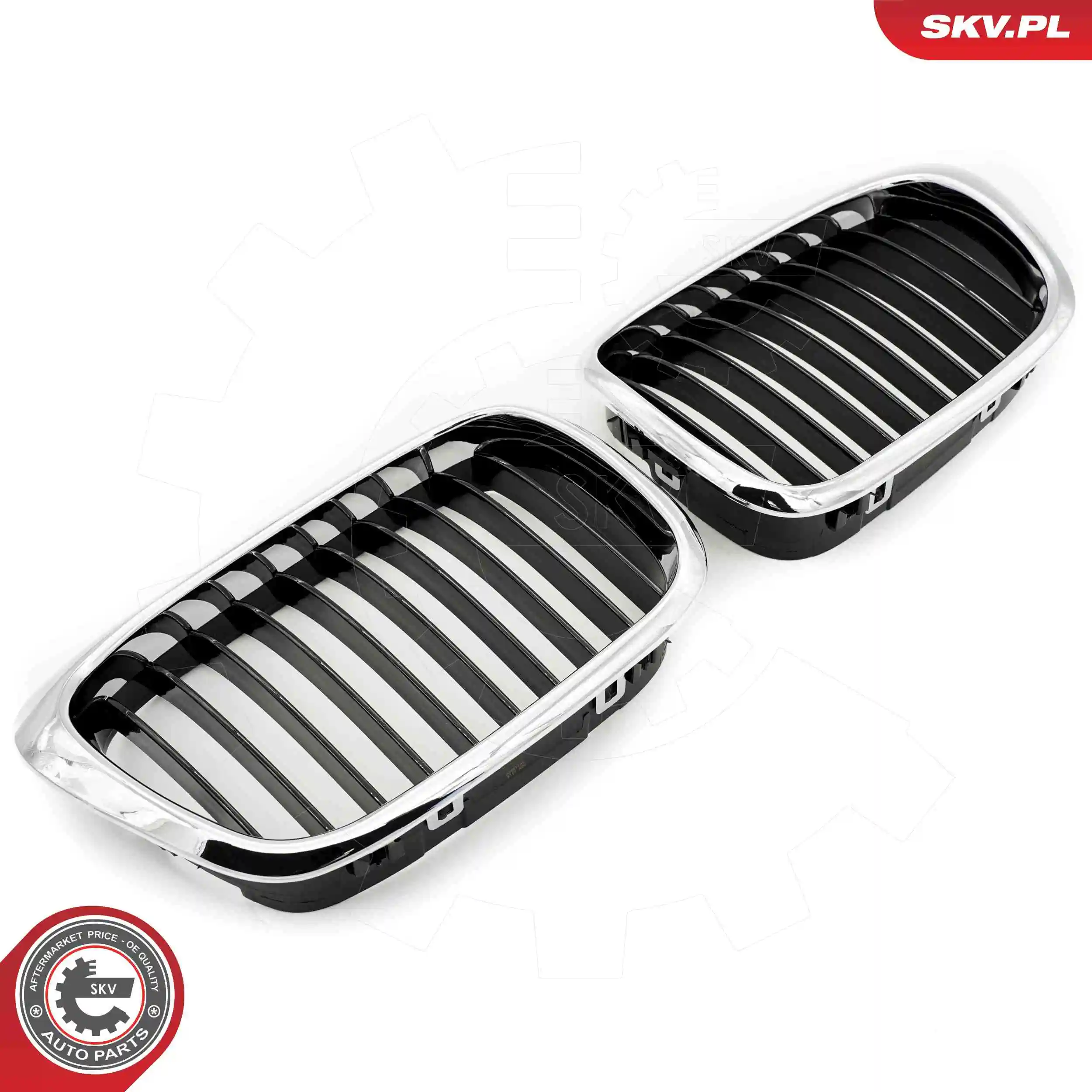 Radiator Grille 66SKV160
