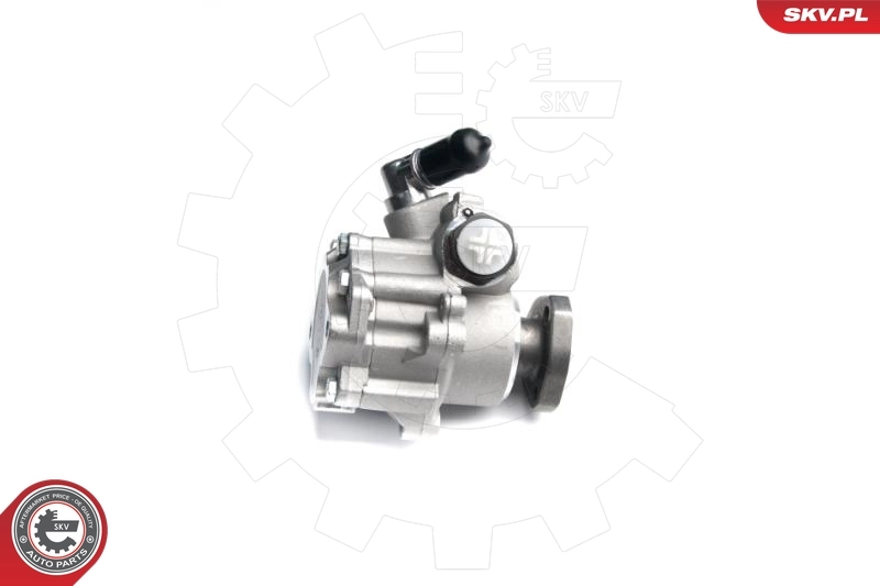 Hydraulic Pump, steering 10SKV173