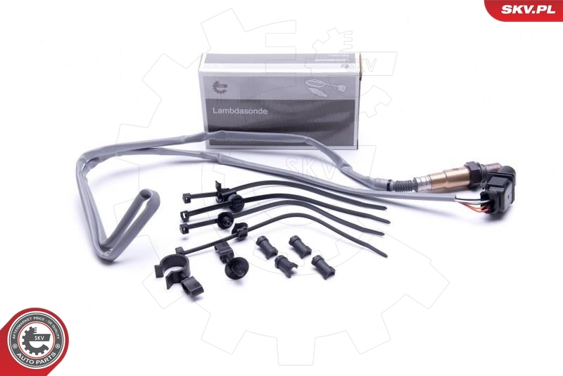 Oxygen Sensor 09SKV420